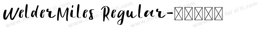 WelderMiles Regular字体转换